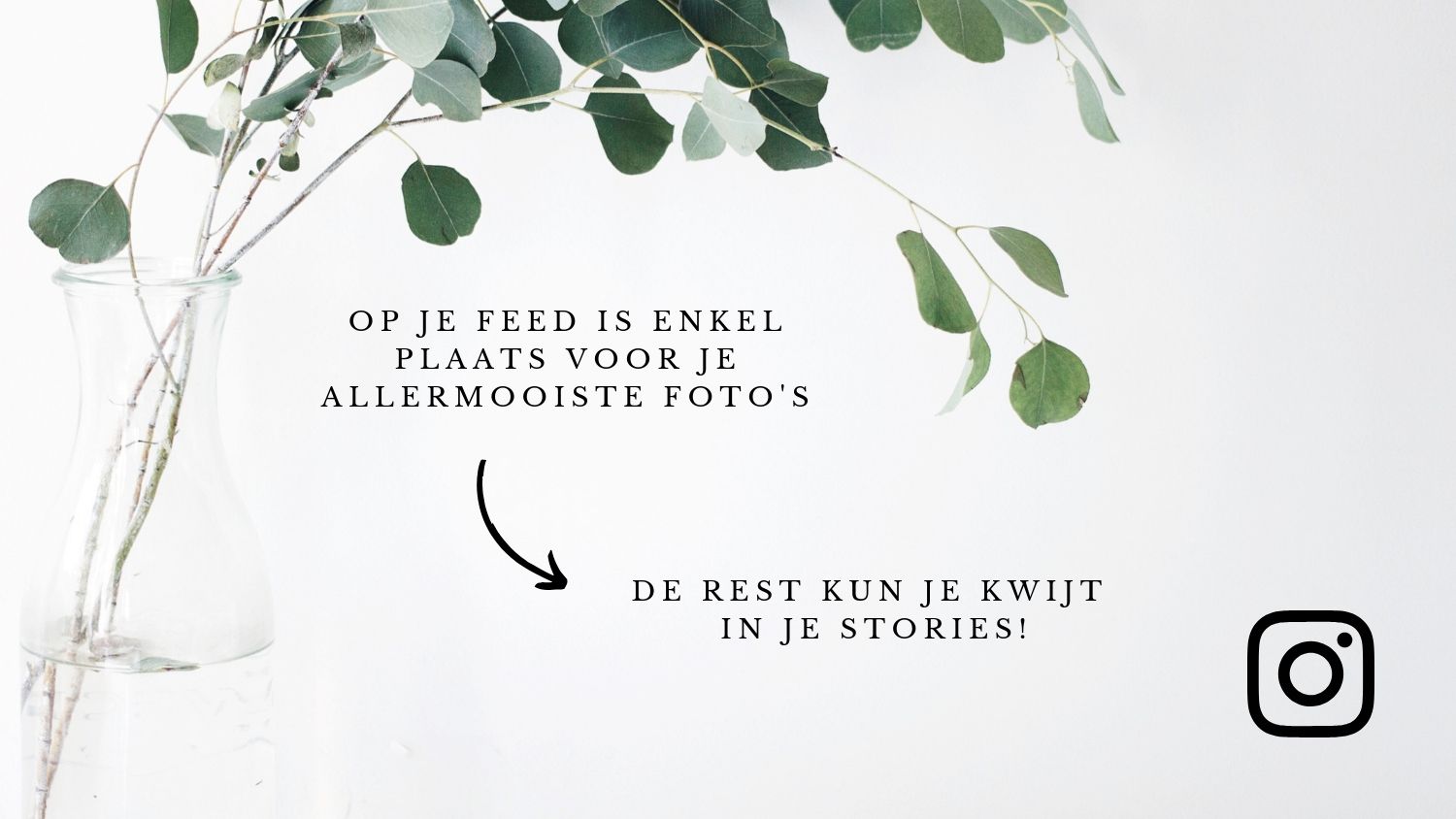 Wat post je op Instagram als ondernemer